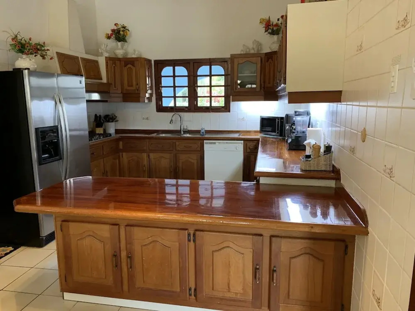 A Beautiful Aruba Salina Cerca Villa