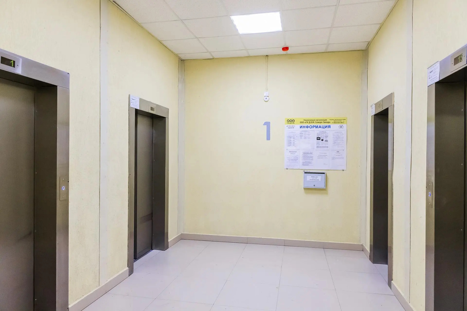 Трилогия на улице Народного Ополчения