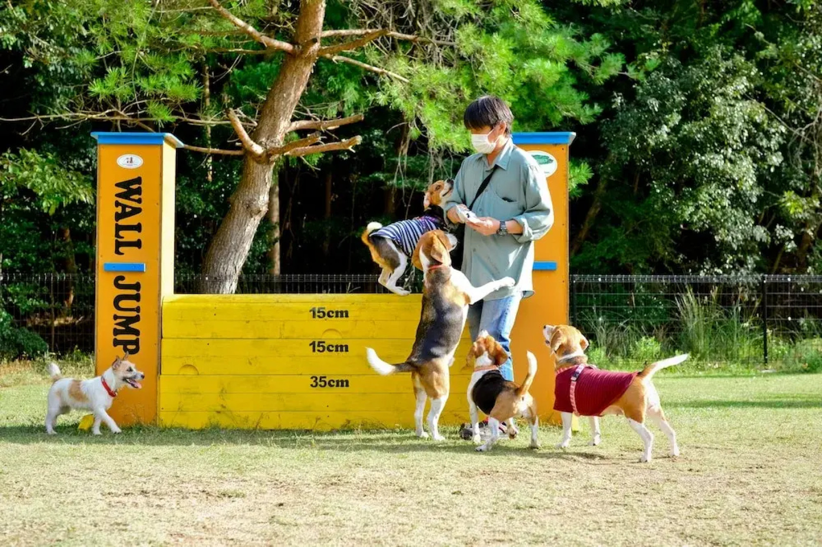 Partners House Yuasa