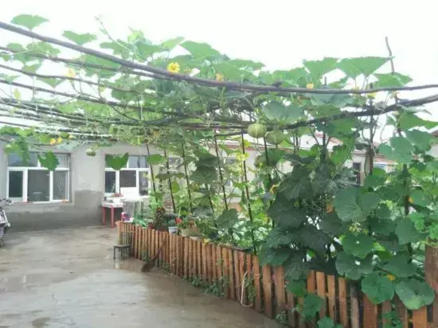 Artic Village Yujiangchun Farmer's House