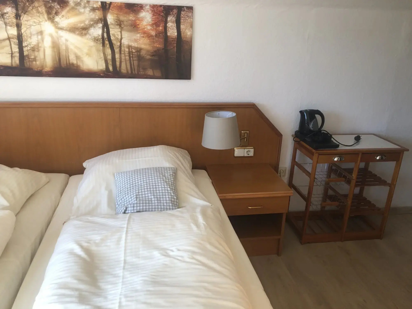 Berghotel Hahnenklee mit Ferienhaus