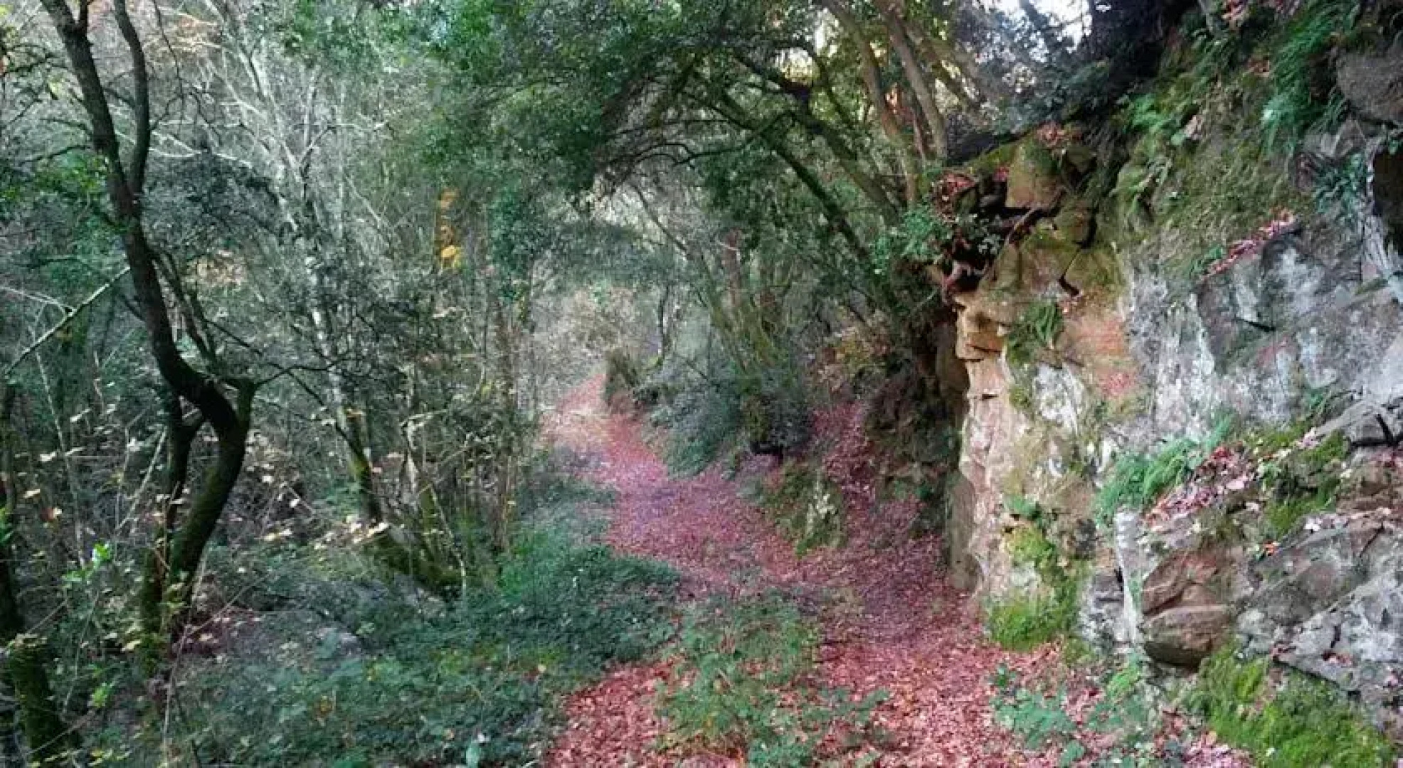 Il Moro In Piazzetta