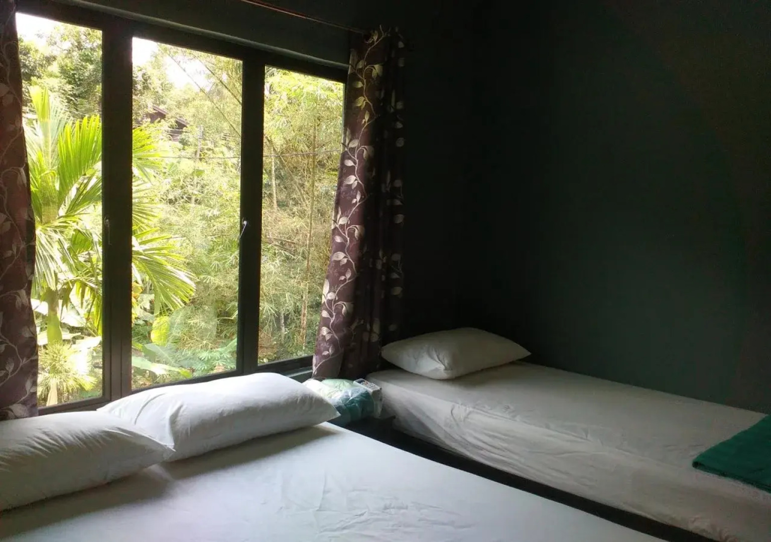 Green Peace Sungai Lembing