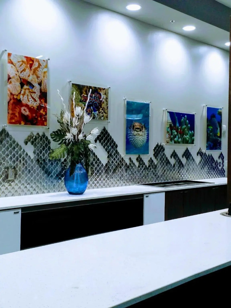 Homewood Suites by Hilton Myrtle Beach Oceanfront