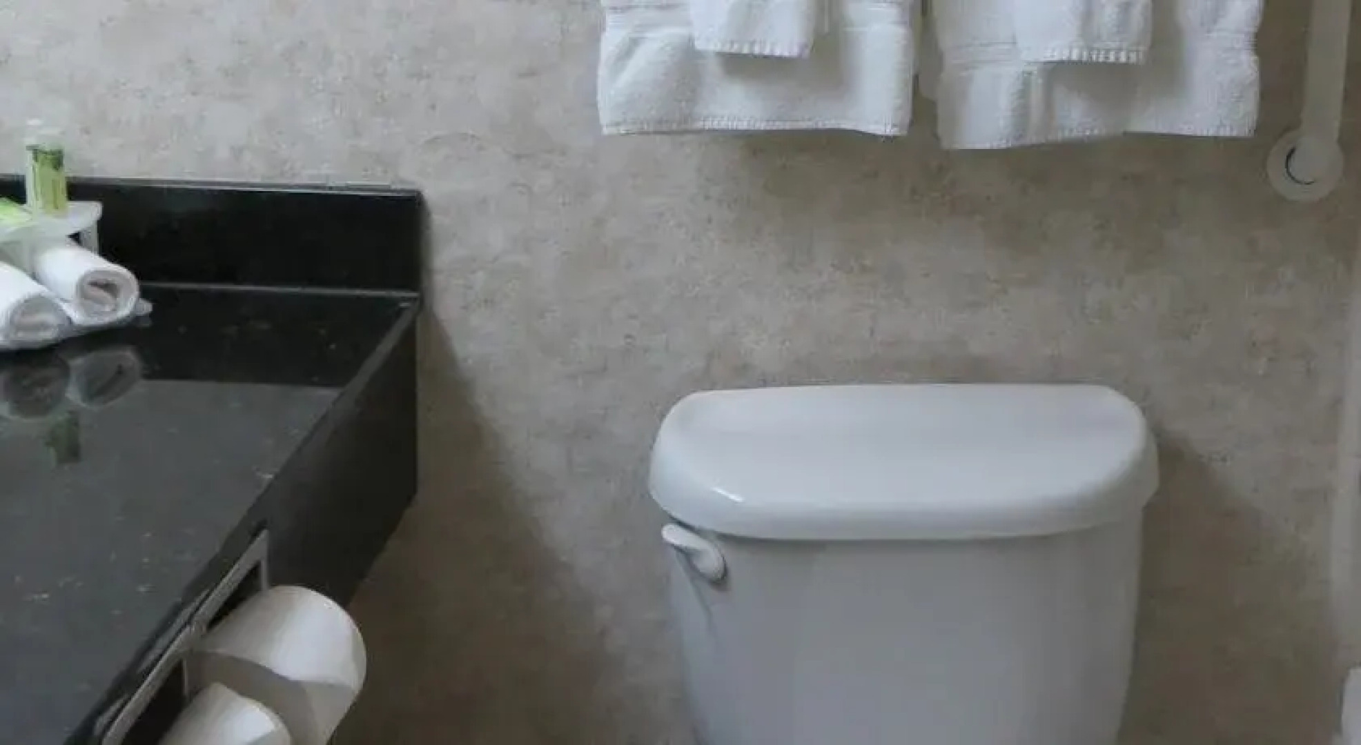 Holiday Inn Express & Suites St. Louis South - I-55