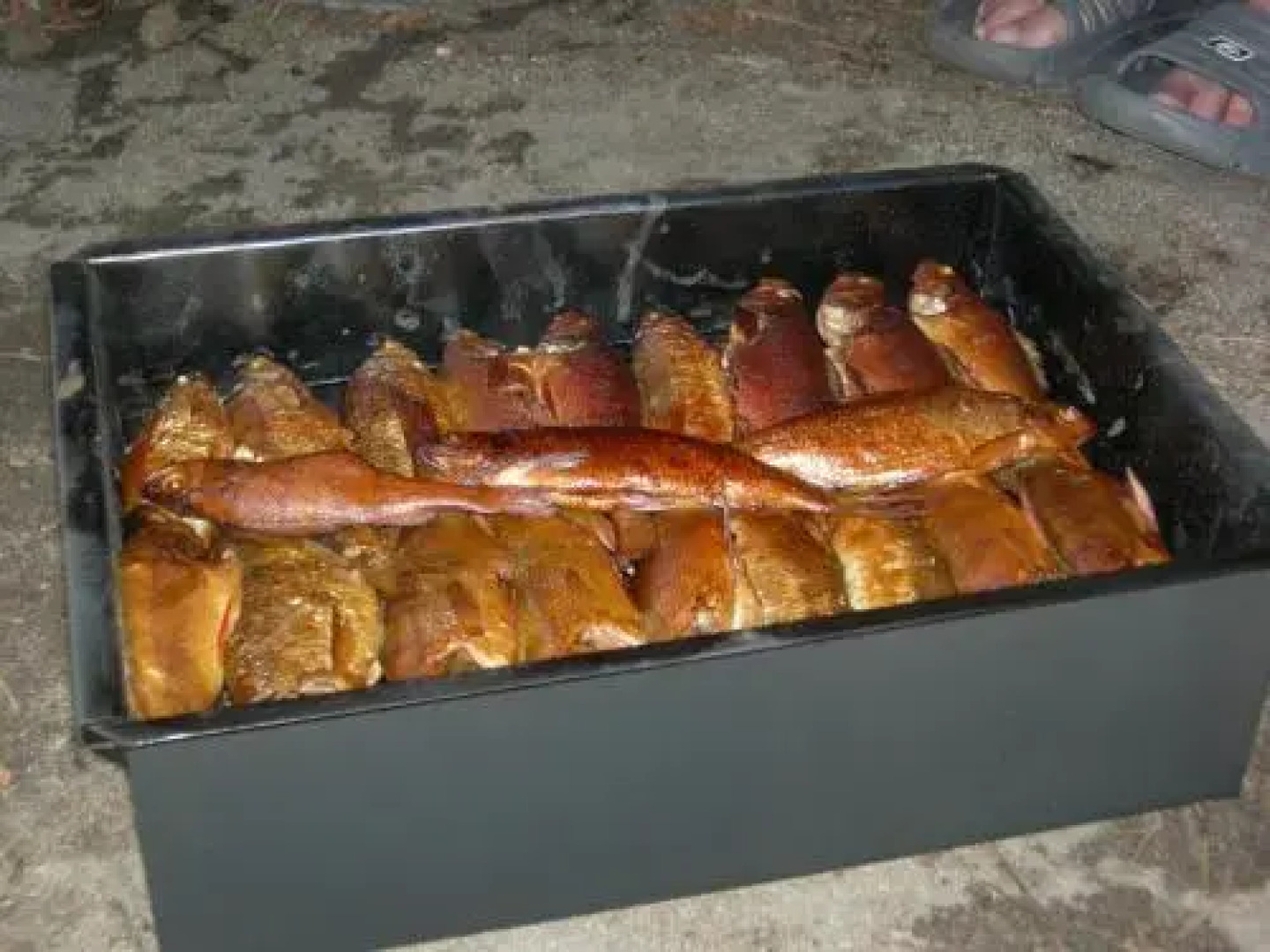 Tourist Center Alekka