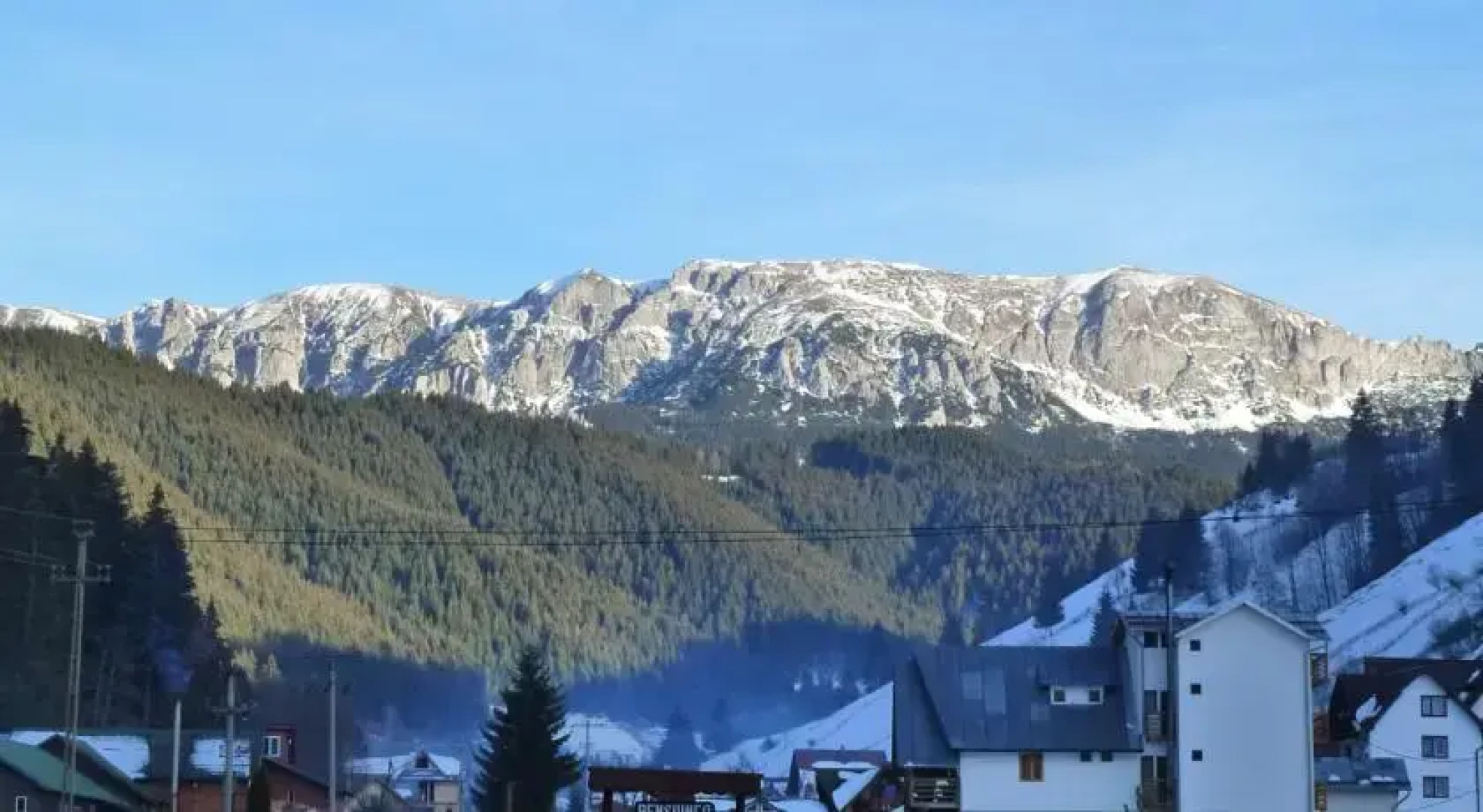 Cabana Bradul Moieciu