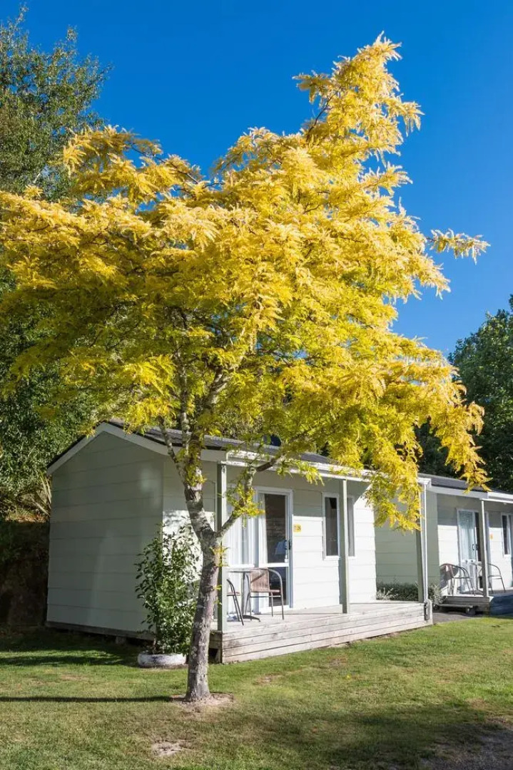 Picton Top10 Holiday Park