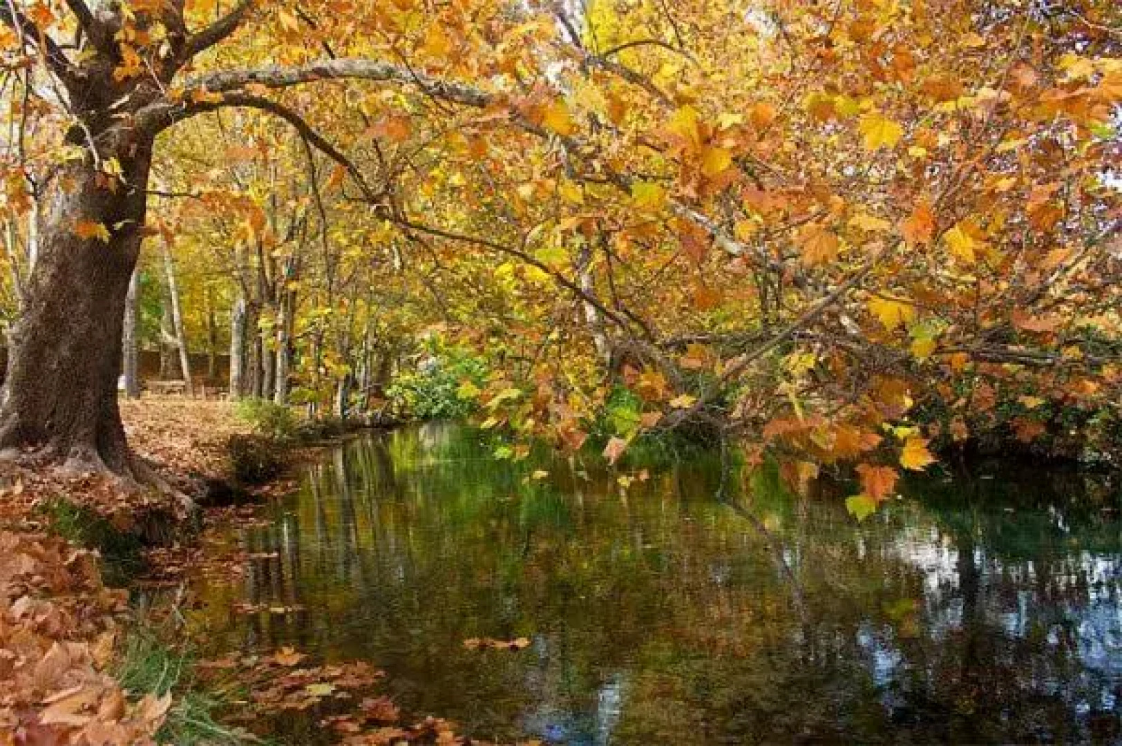 Apartamento BEST ATARDECER