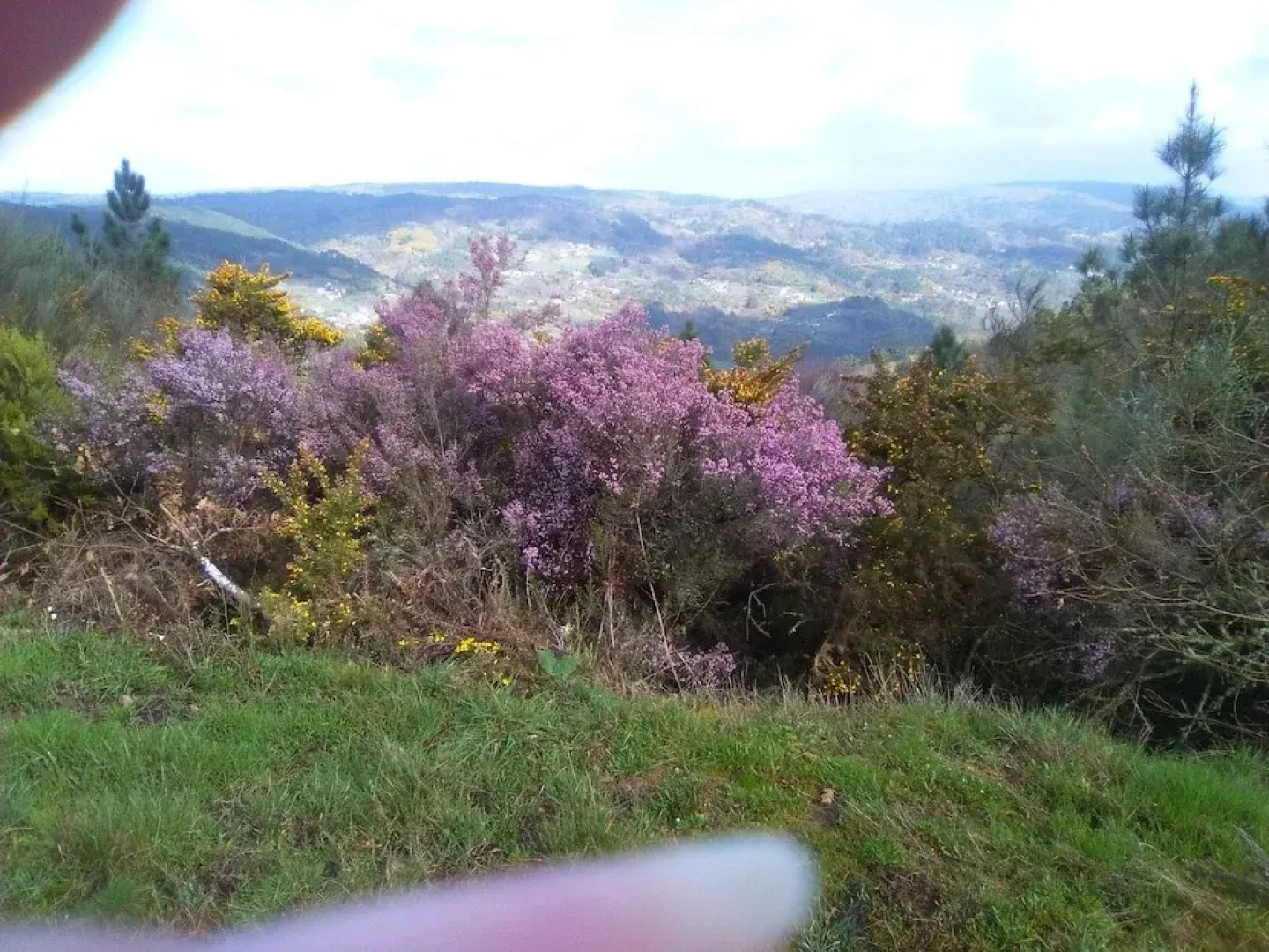Casa da Viña (Casdosteo - Ourense)