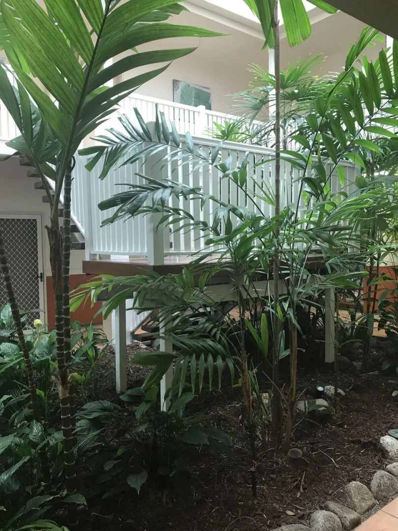 Port Douglas Palm Villas