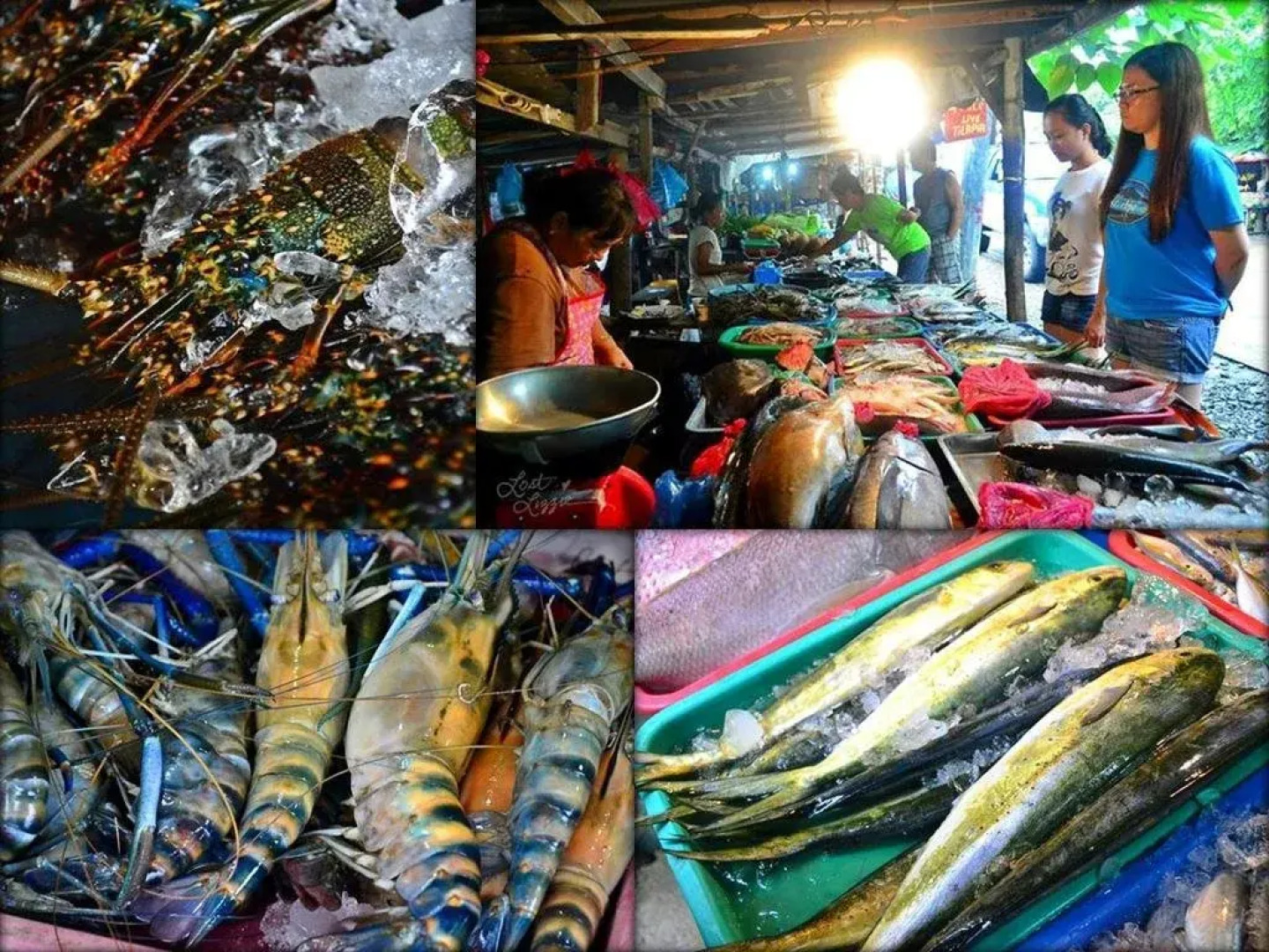 Cave Beach Resort Boutique Luxury Accomodation