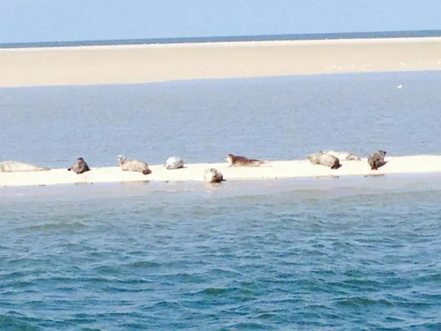 Appartementen STRANDHUYS en DE VUURTOREN - Resort Amelander Kaap met Terras en Gratis Verwarmd Binnen ZWEMBAD