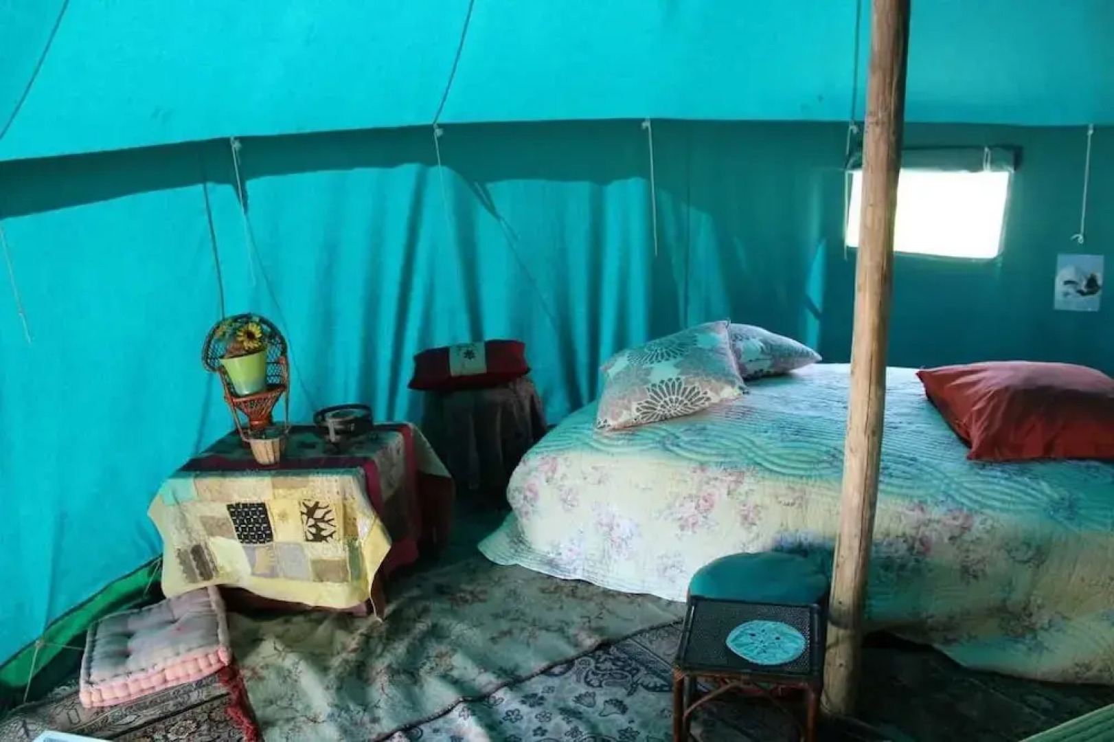 Insolites du Bonheur de Vivre