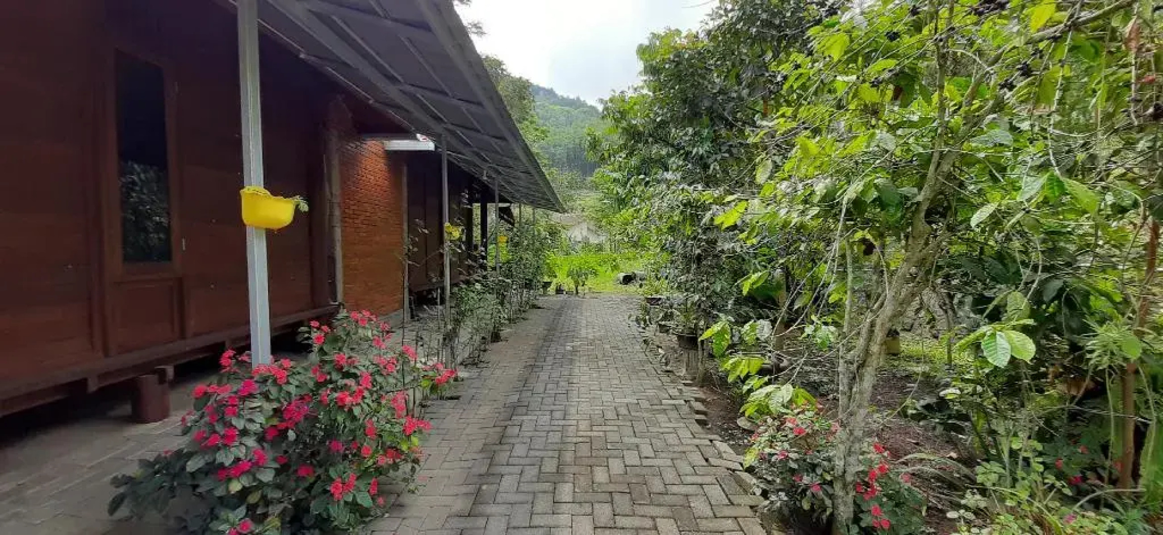 Hotel O Villa Papada