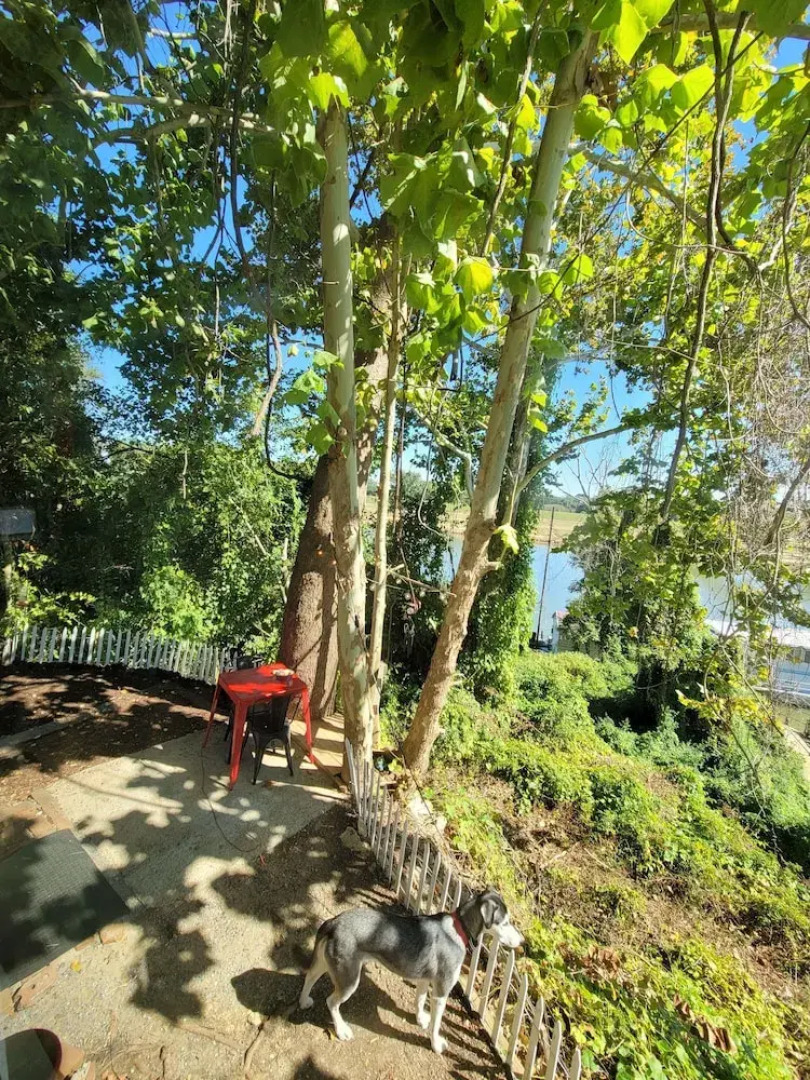 Bruiser Cozy Riverfront School Bus Pet Friendly