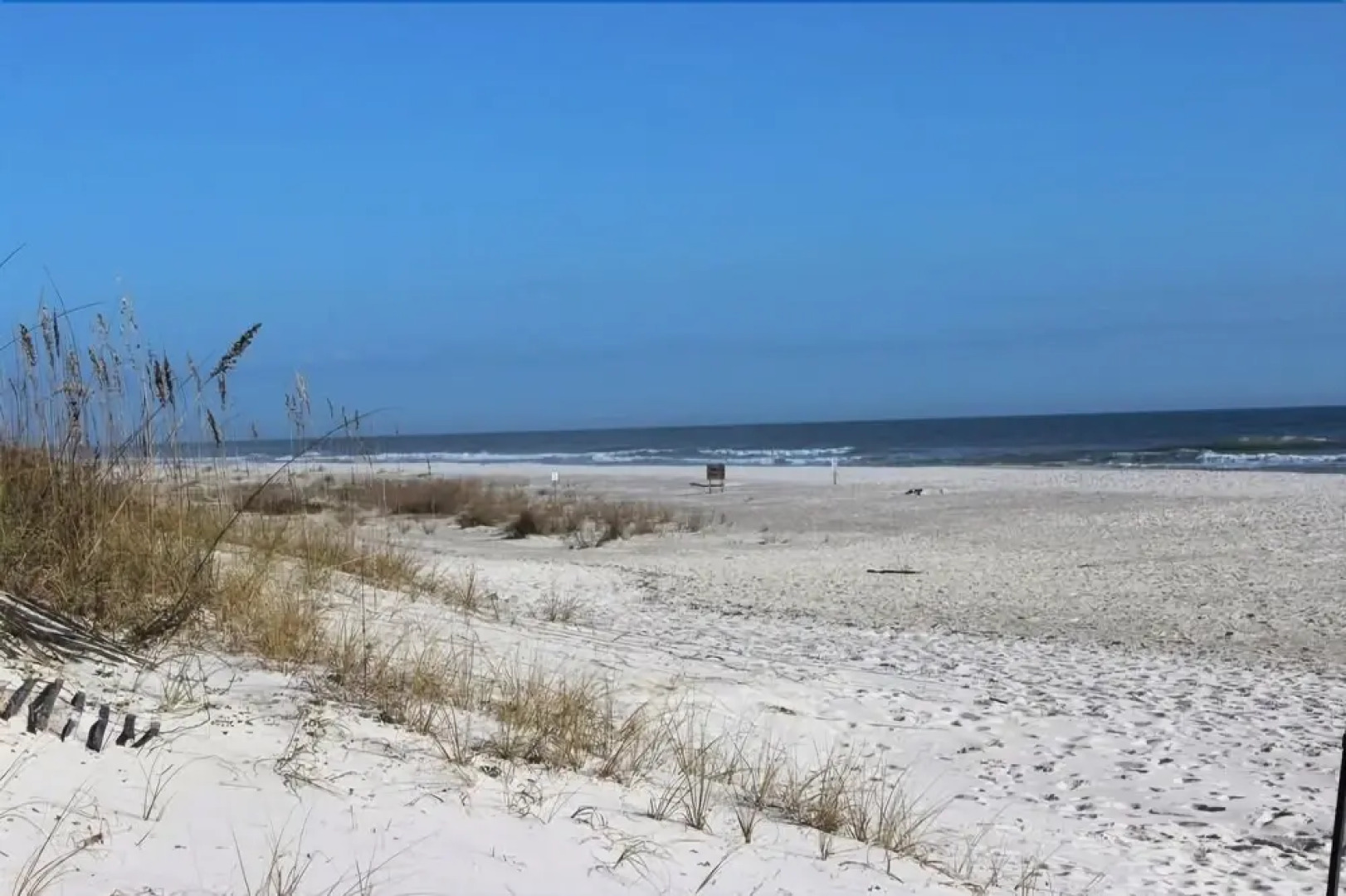 Coquille at Martinique on the Gulf by RedAwning