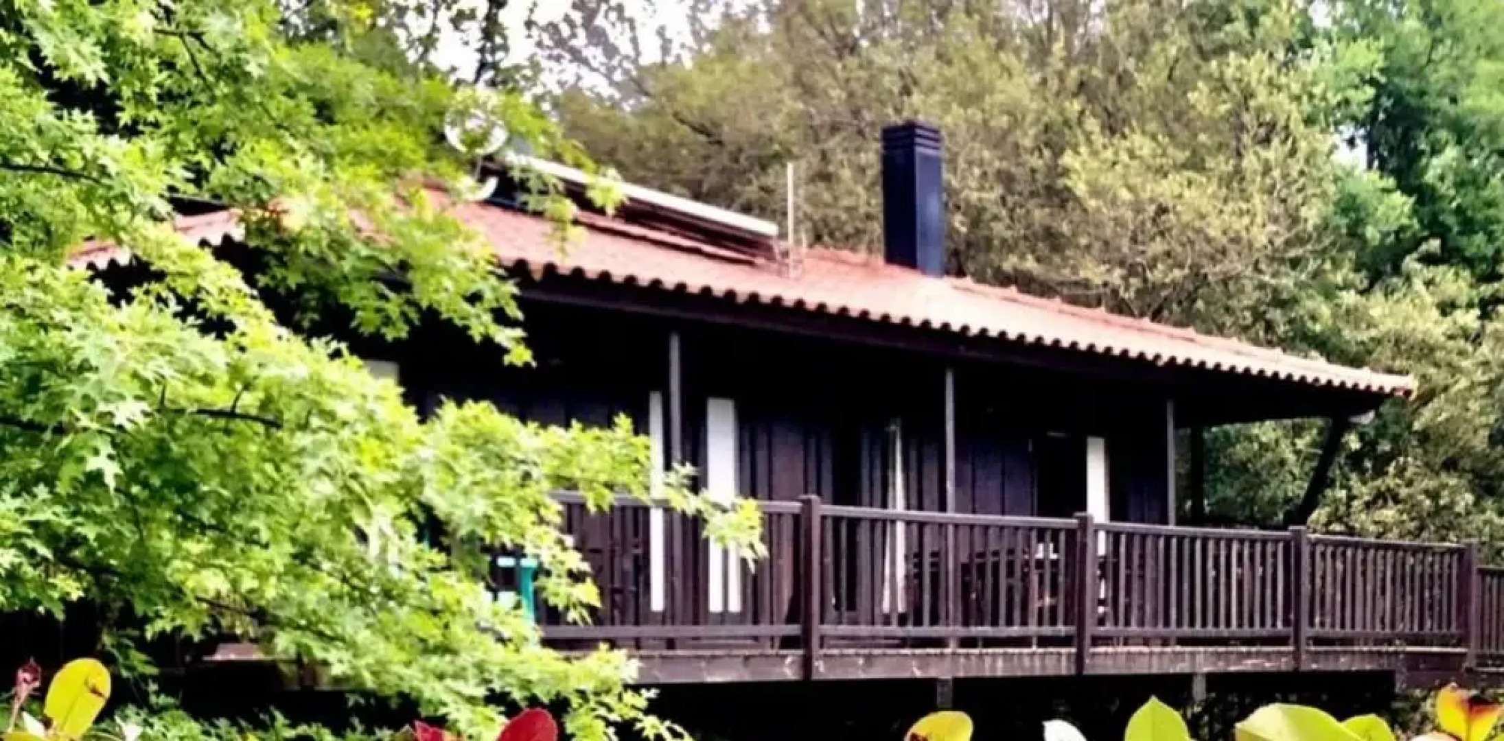 Tree Pool Villa in Arcos de Valdevez