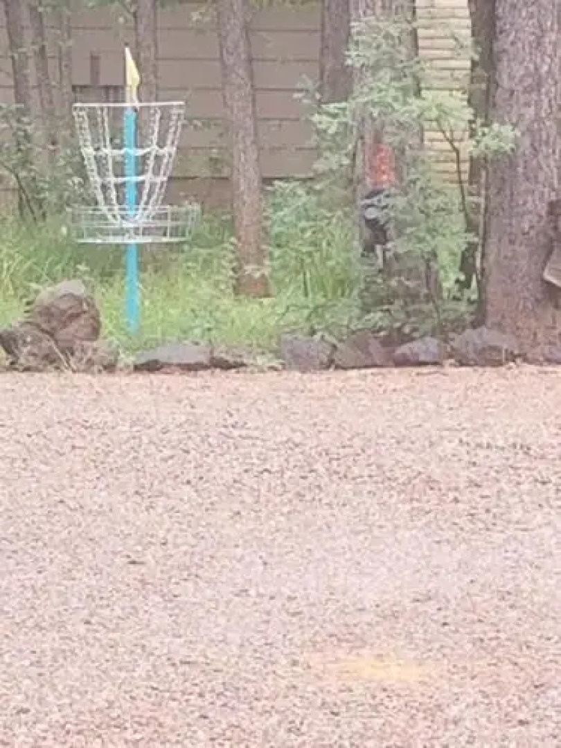 Northwoods Resort Cabins