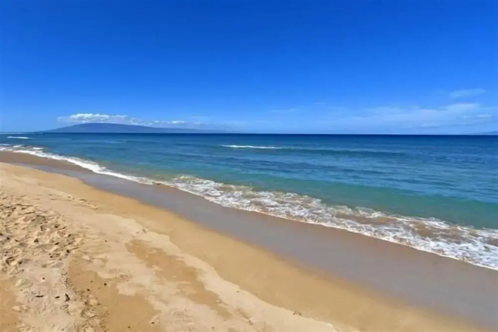 Kaleialoha #207 1 Bedroom 1 Bathroom Condo by Redawning