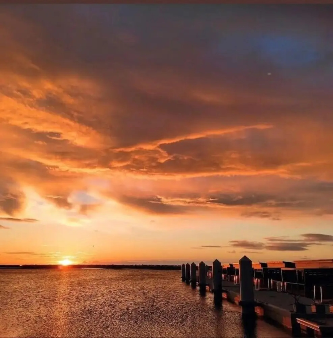 Les Ilots de Gruissan