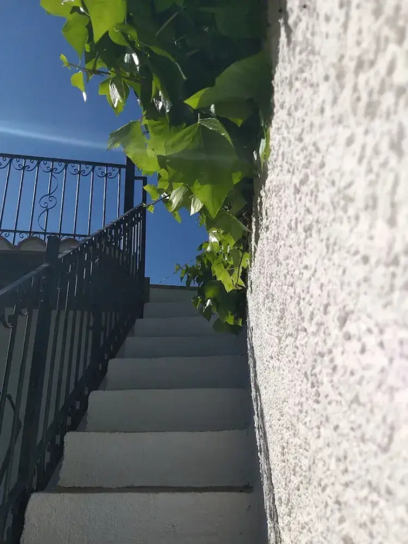 El Violin Experiencia