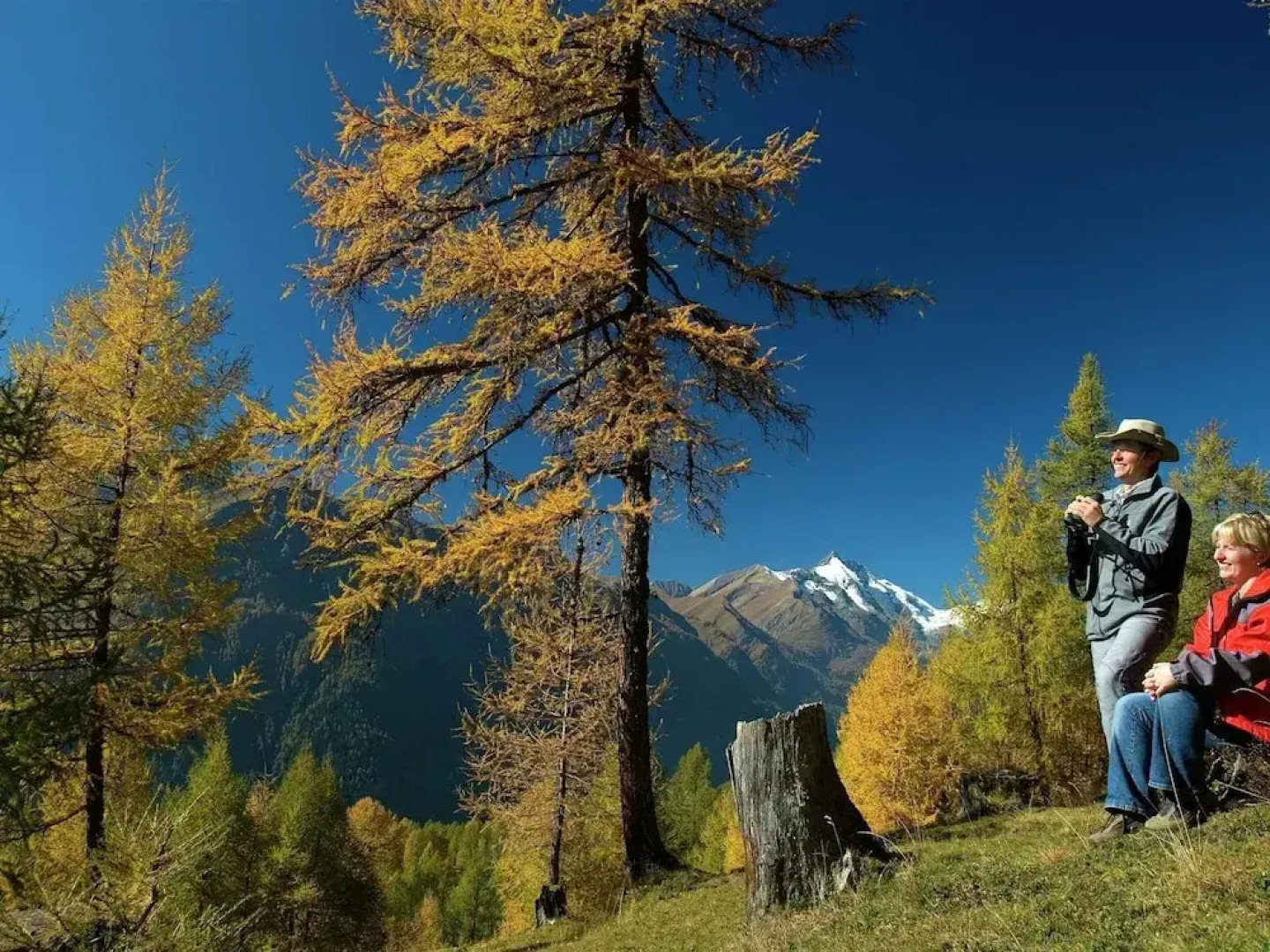 Chalet in Iselsberg-stronach Near Ski-lift