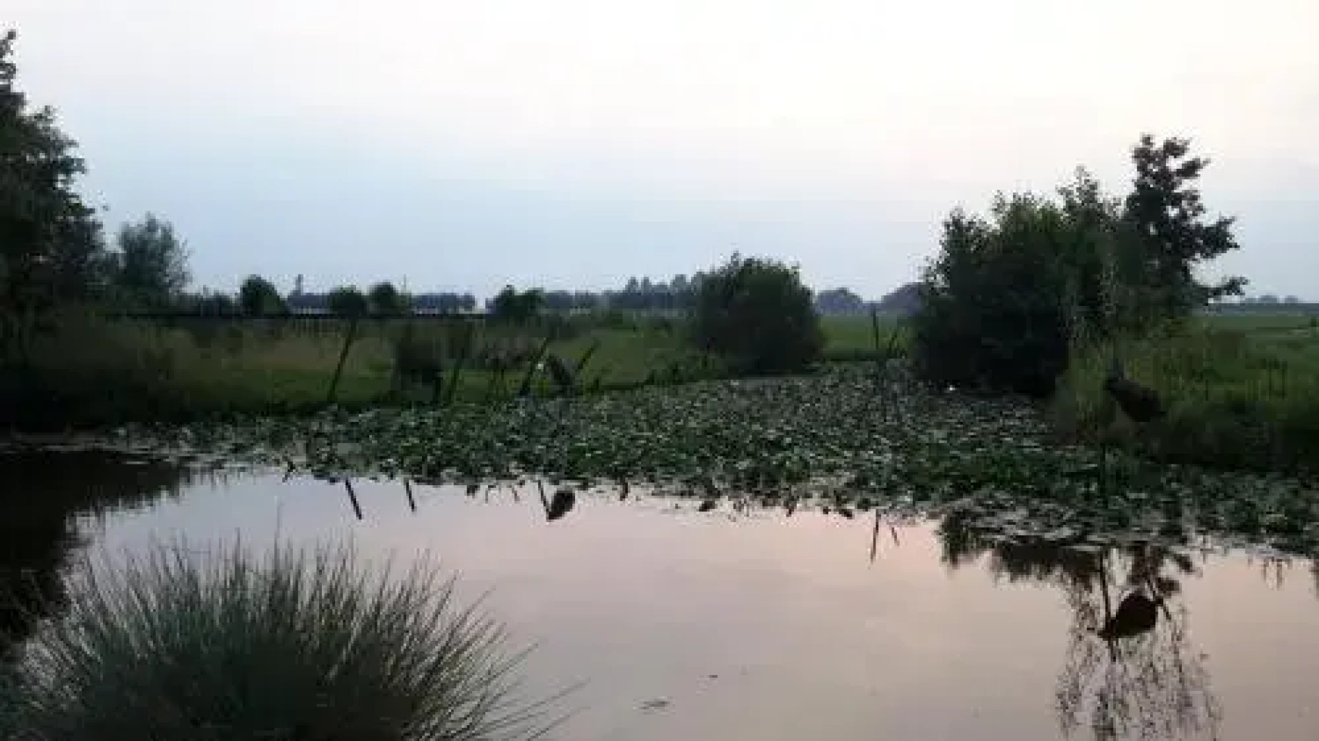 Theetuin Gebroeders van Lint