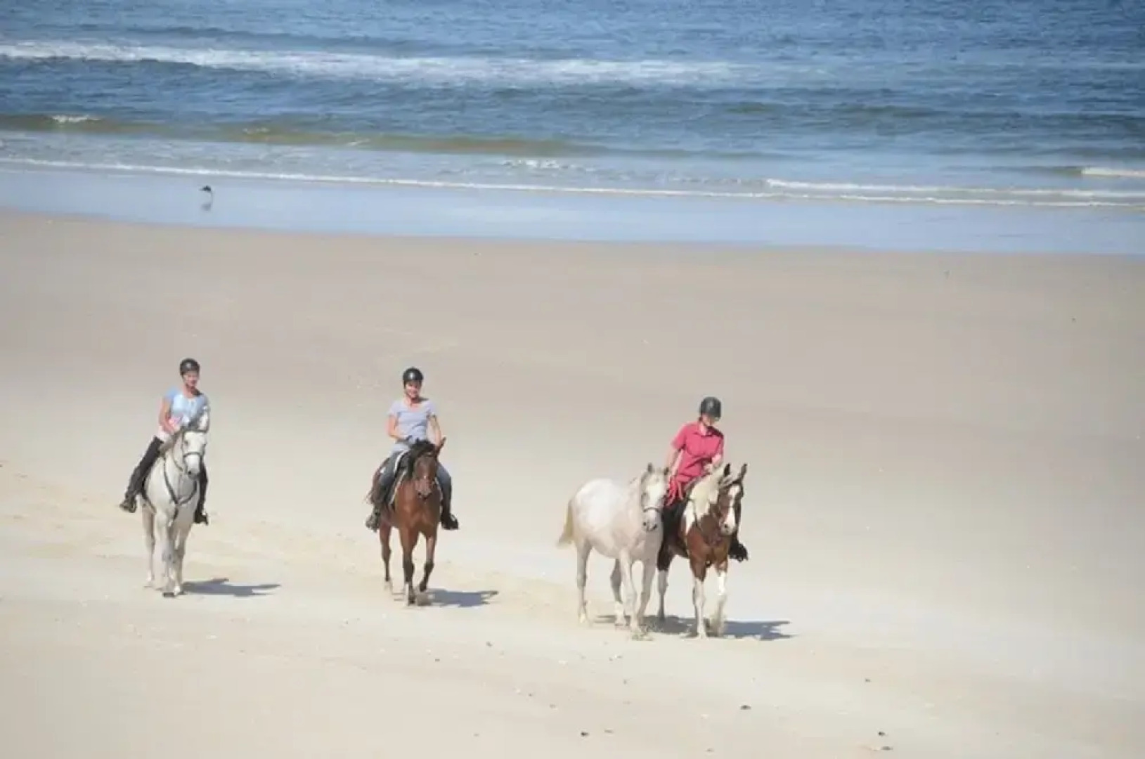 West Coast Luxury Tents- Glamping