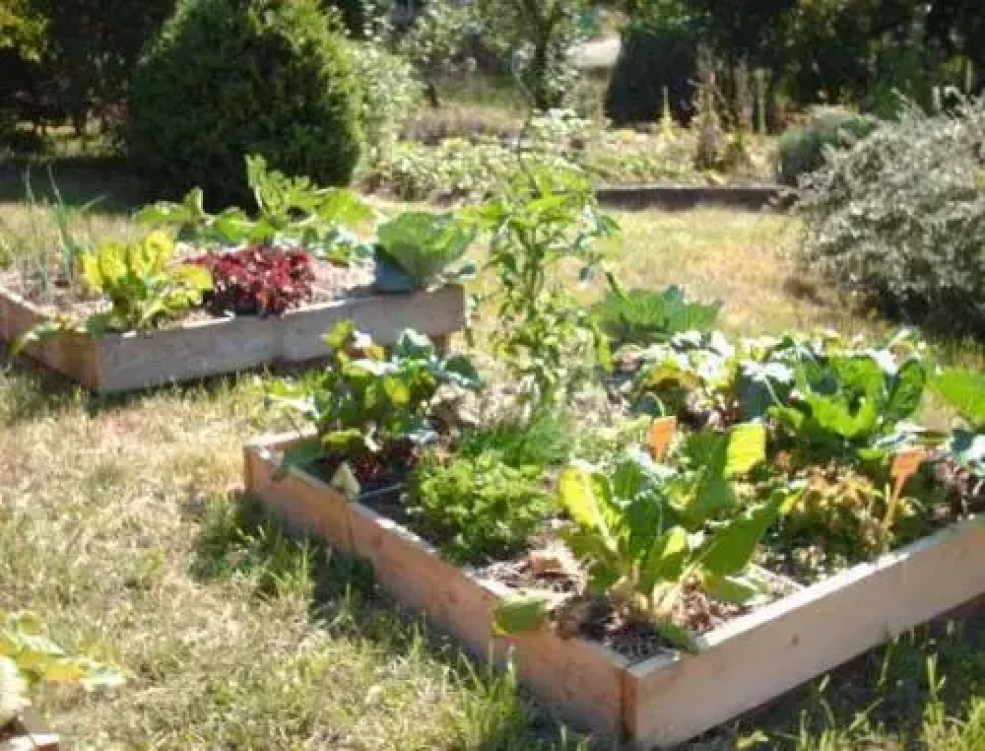 Chambre dhôtes "Lumière et Quiétude"