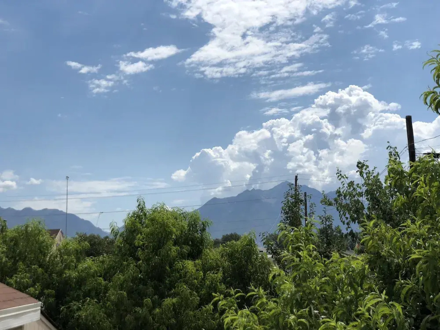 The Midvale Cottage 1 Bedroom Cottage