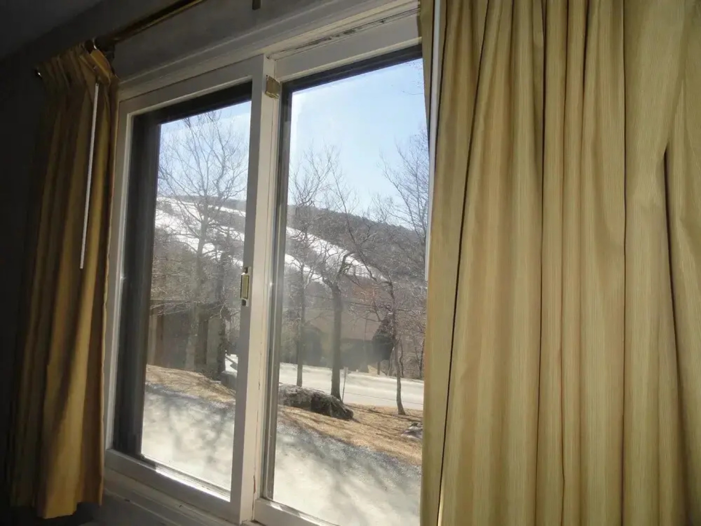 VCI - 4 Seasons at Beech Suite