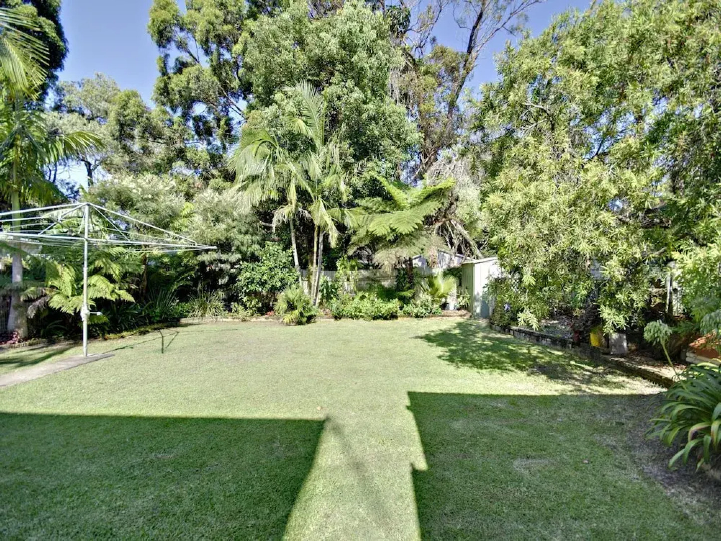 Reel Paradise, 101 Horace Street