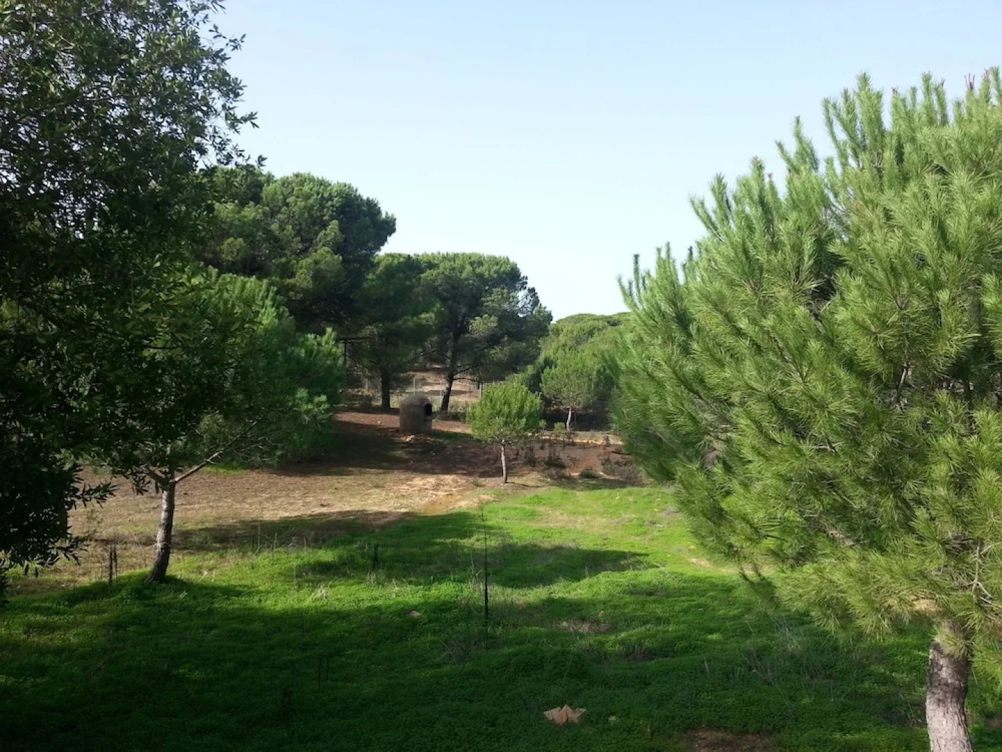 Albergue Rural Territorio del Gato