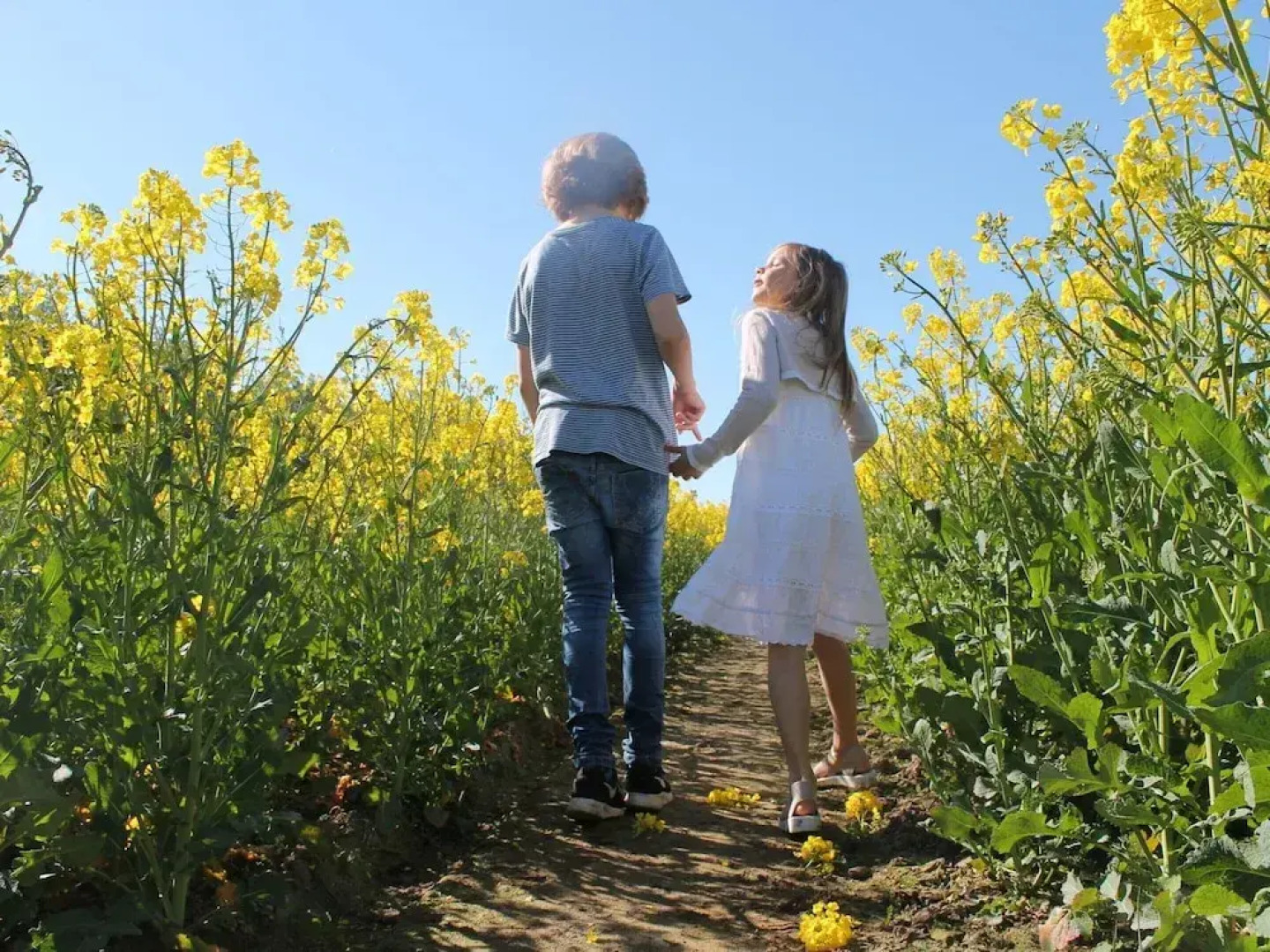 Apartment near Insel Poel