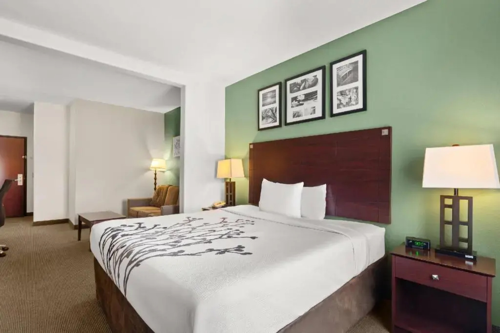 Sleep Inn & Suites Bush Intercontinental - IAH East