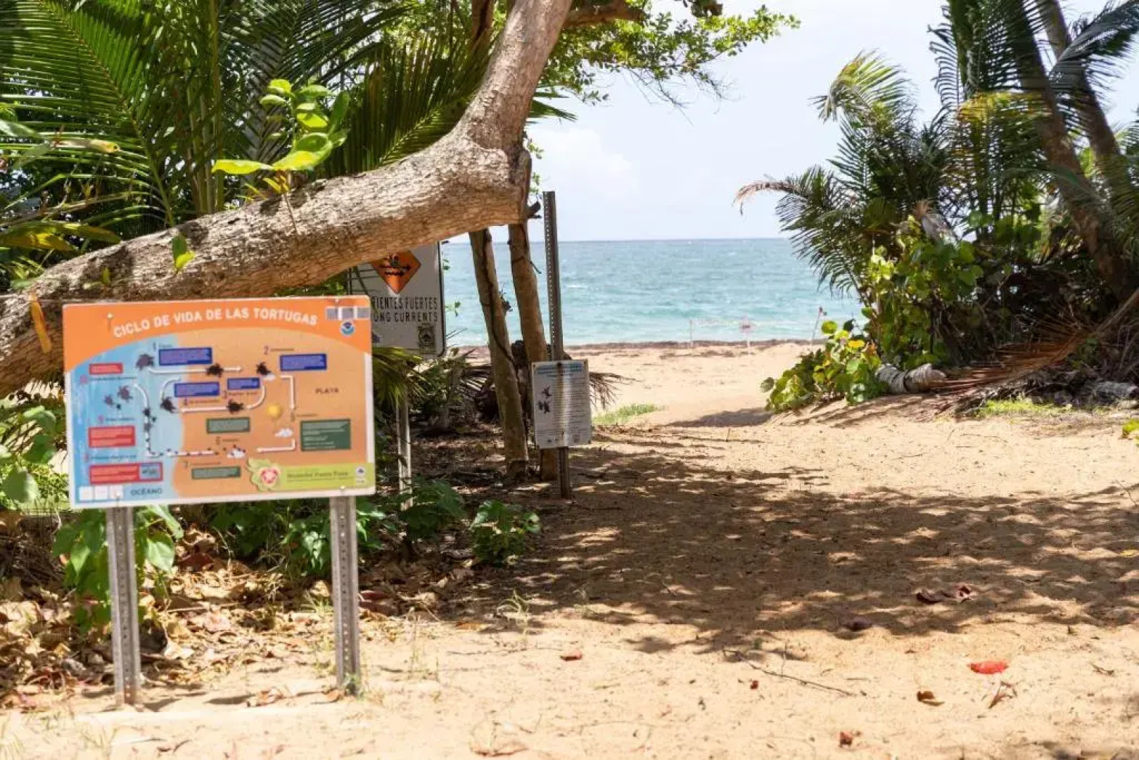 Apartment in Villas Del Faro Resort