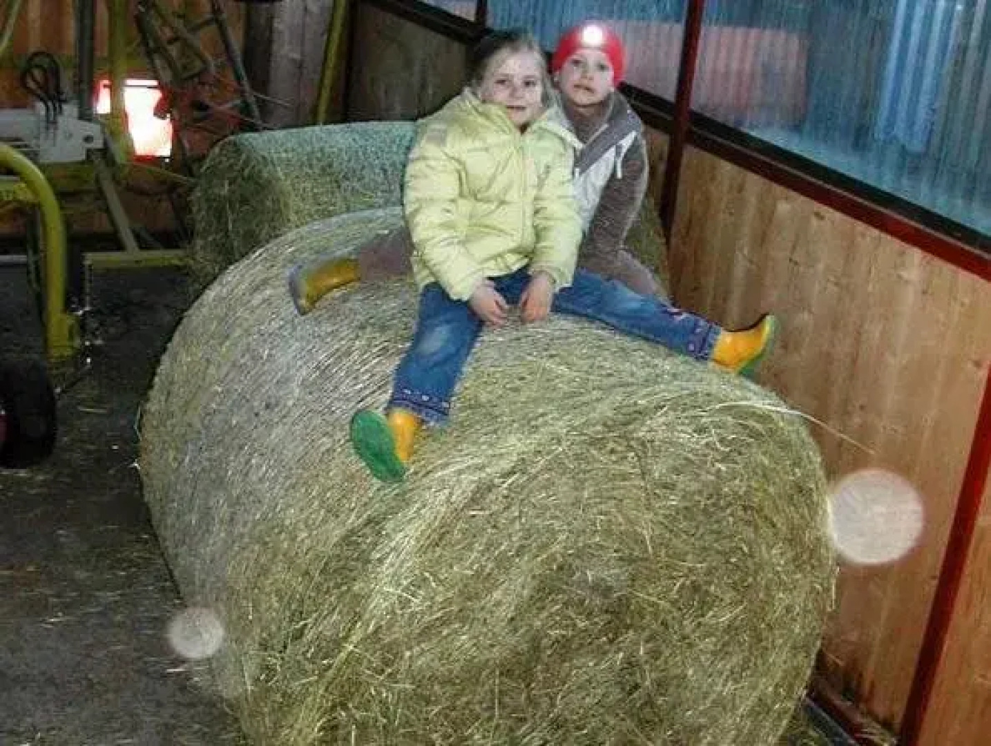 Biobauernhof Vilshof