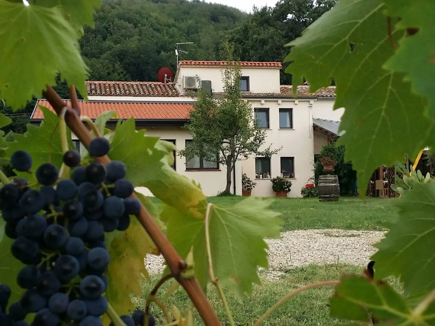 Apartment in a winery in the countryside with pool and breathtaking view