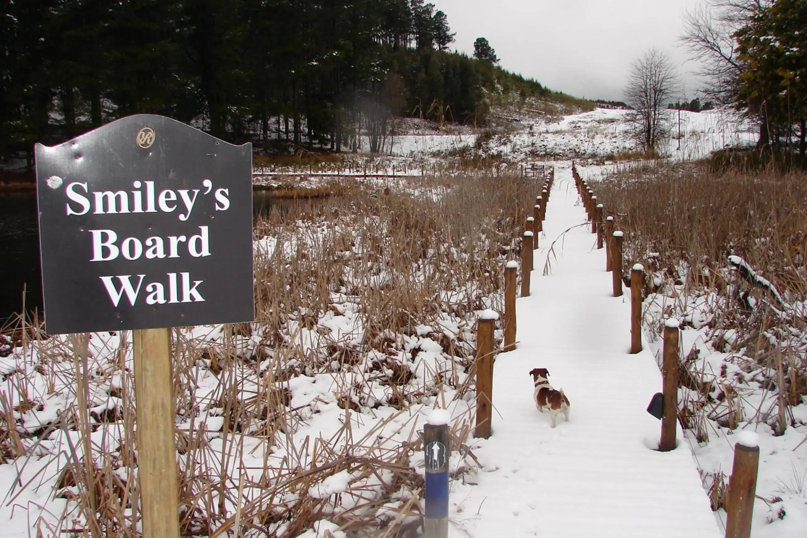 Rawdons Hotel & Brewery