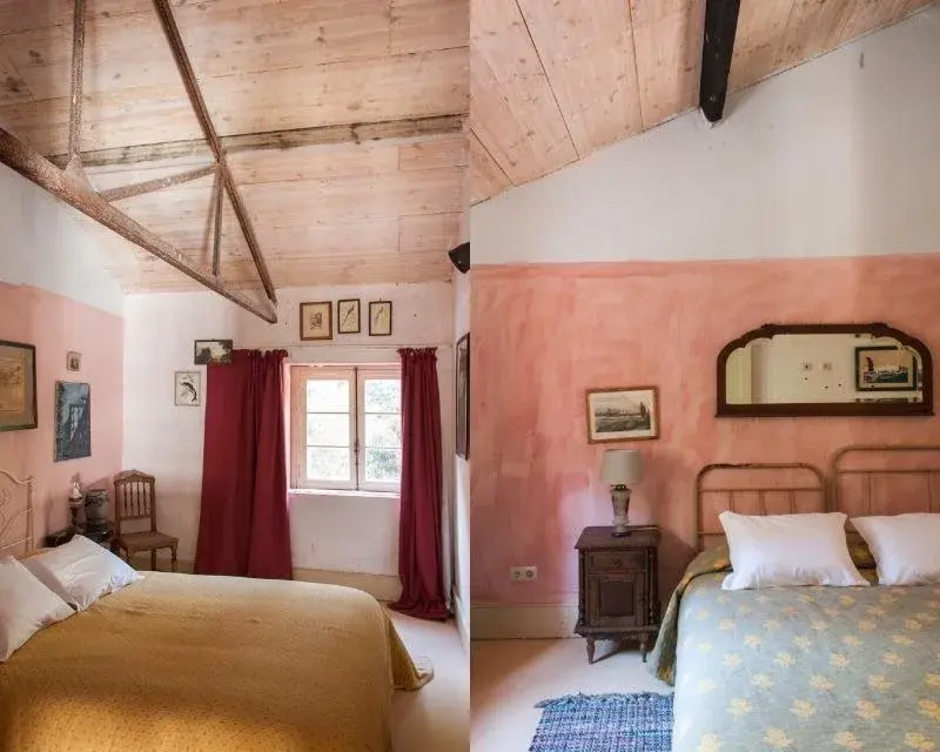 Uva do Monte - Blueberry Farm