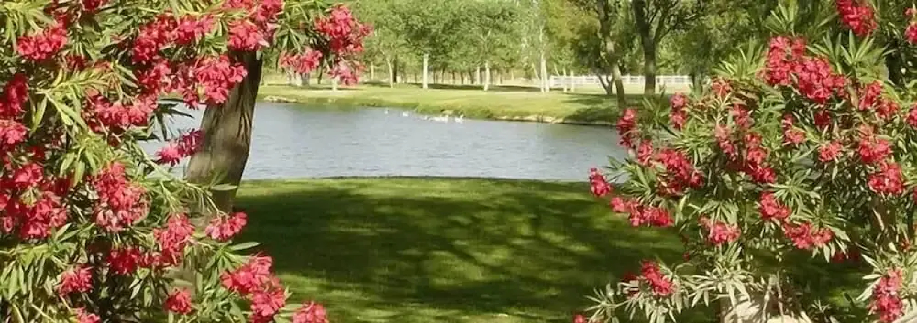 Silver Saddle Ranch & Club