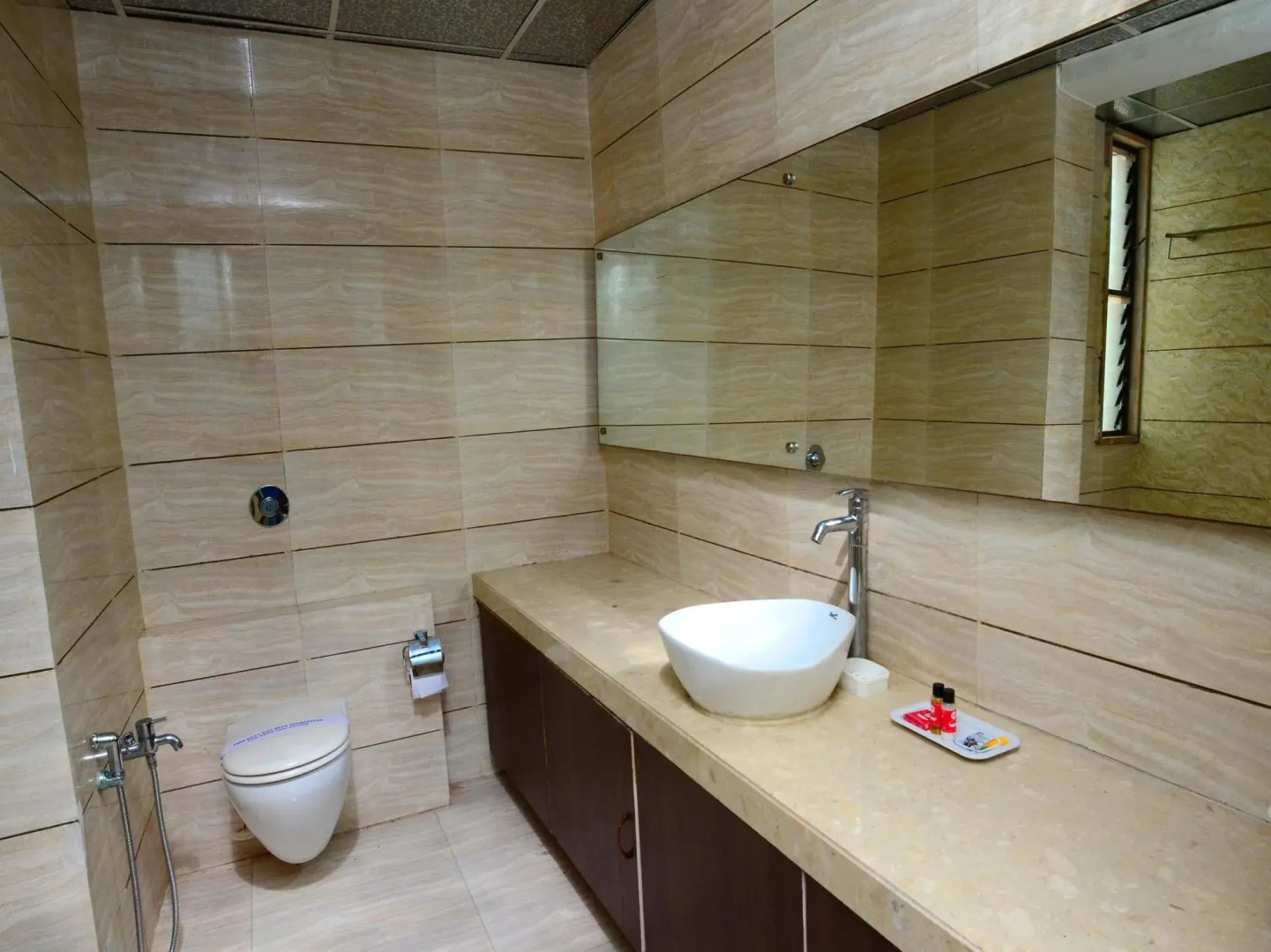 OYO 1030 Hotel Palm View Residency