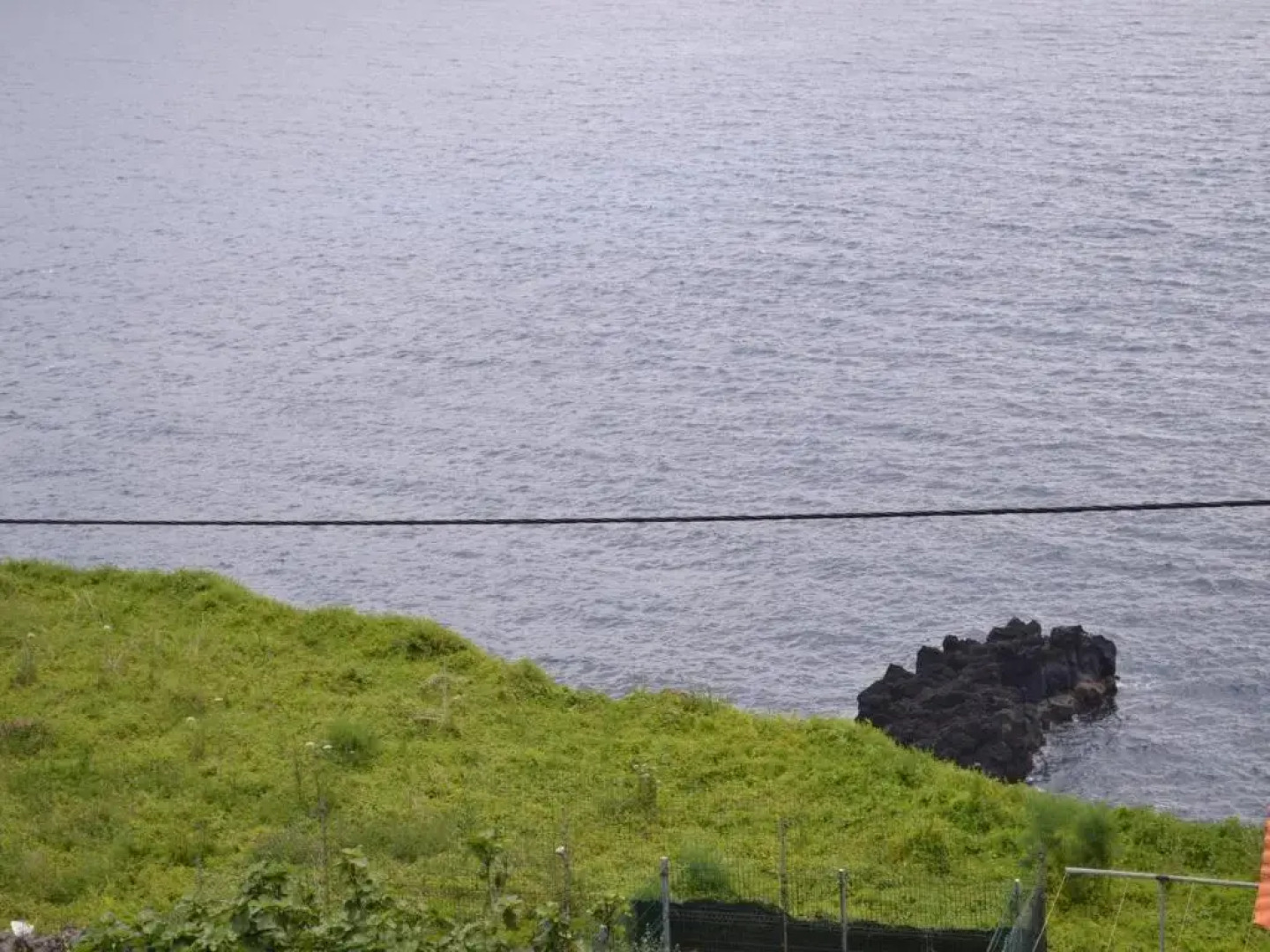 Casinha de Muda da Feteira