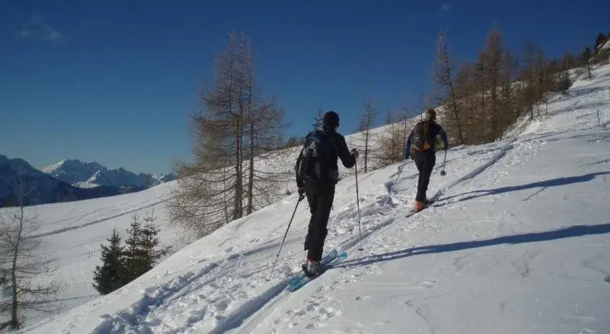 Gasthof Pension - Café Konditorei Hassler