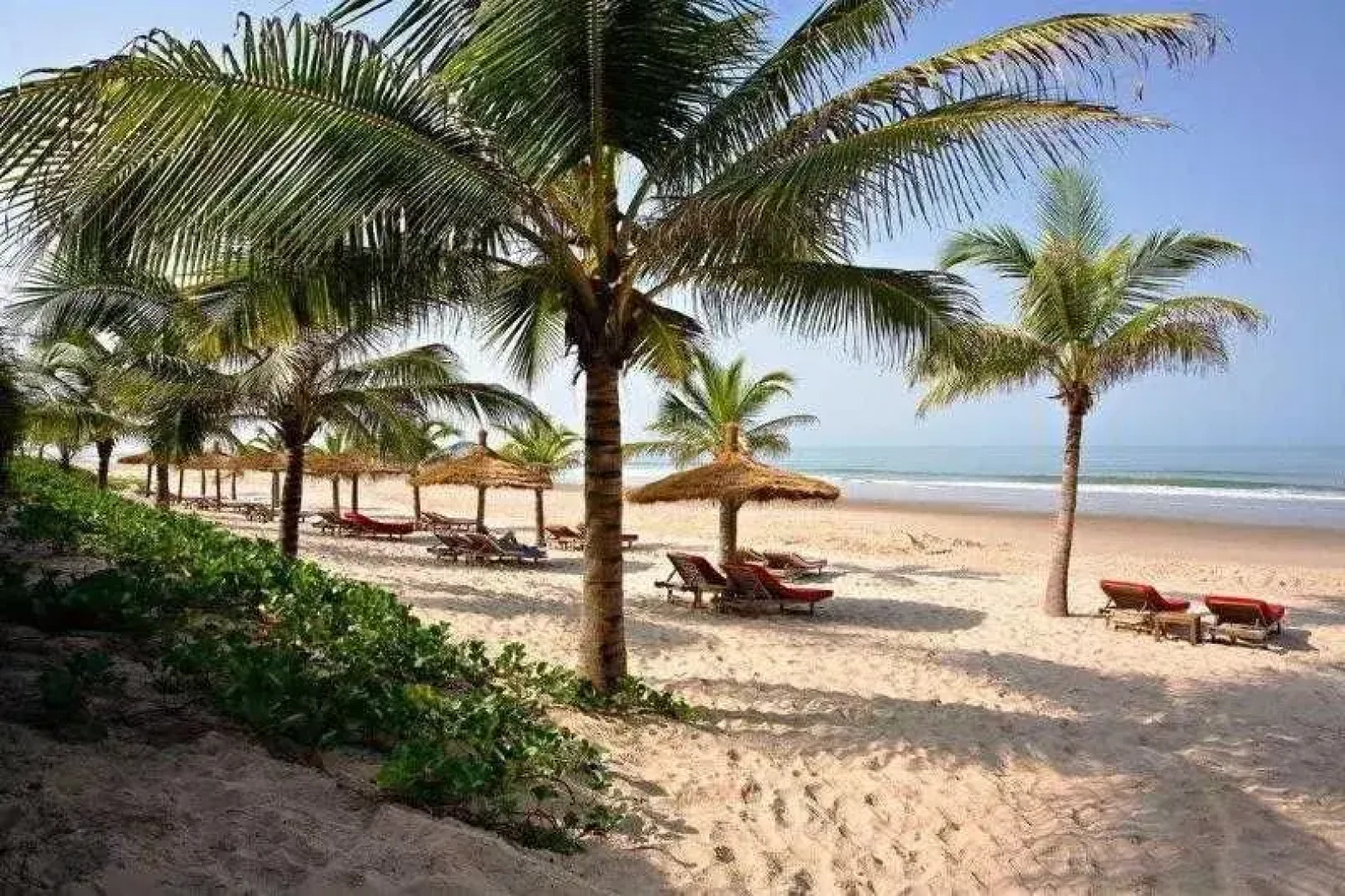 Hibiscus Cap Skiring