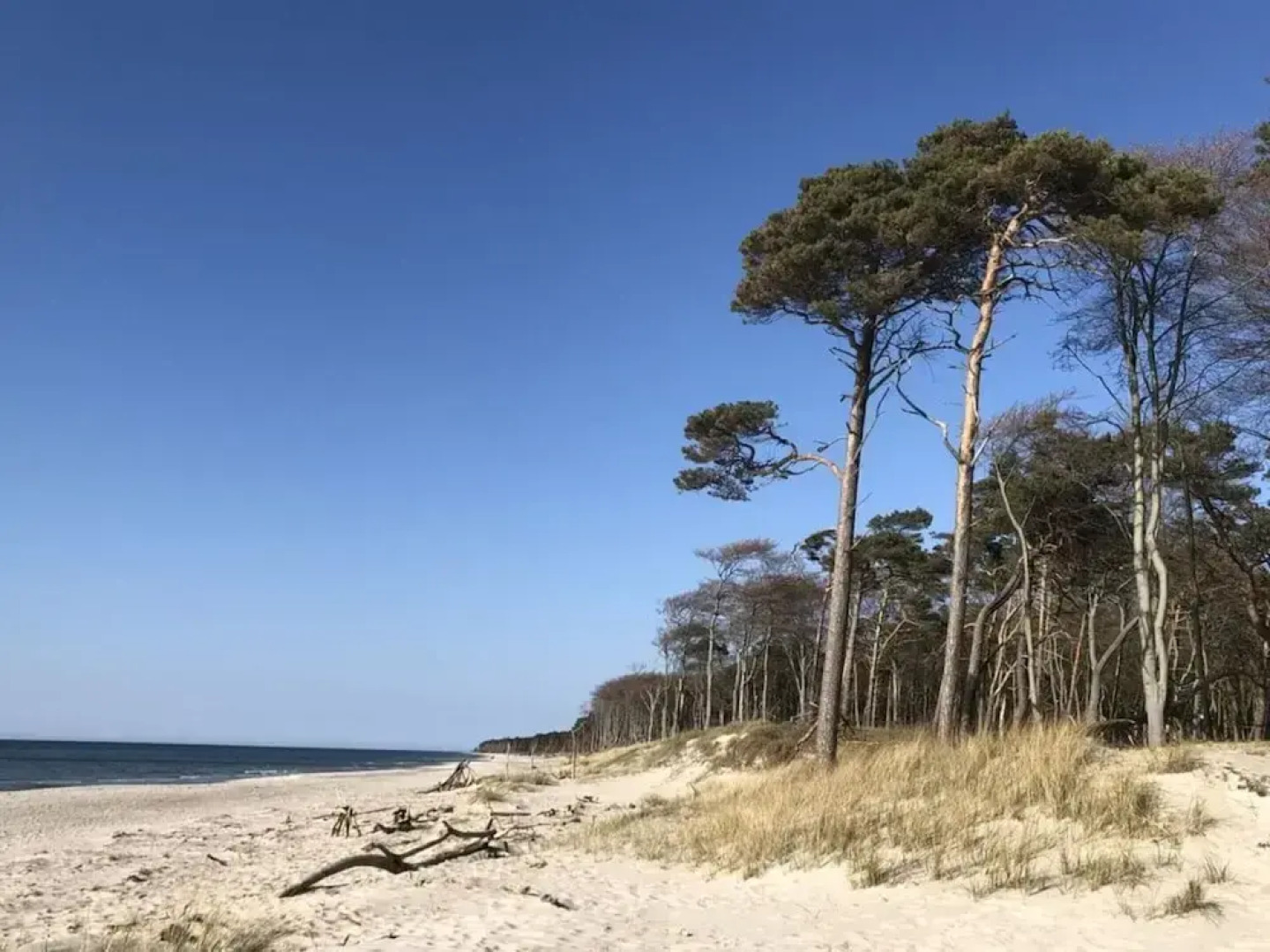 Katis Nest Comfortable Holiday Residence