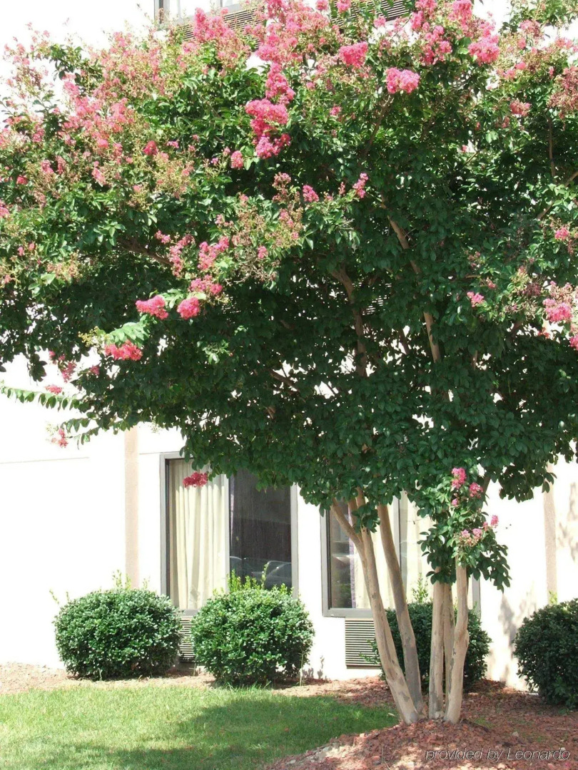 Holiday Inn Express Raleigh Durham Airport by IHG