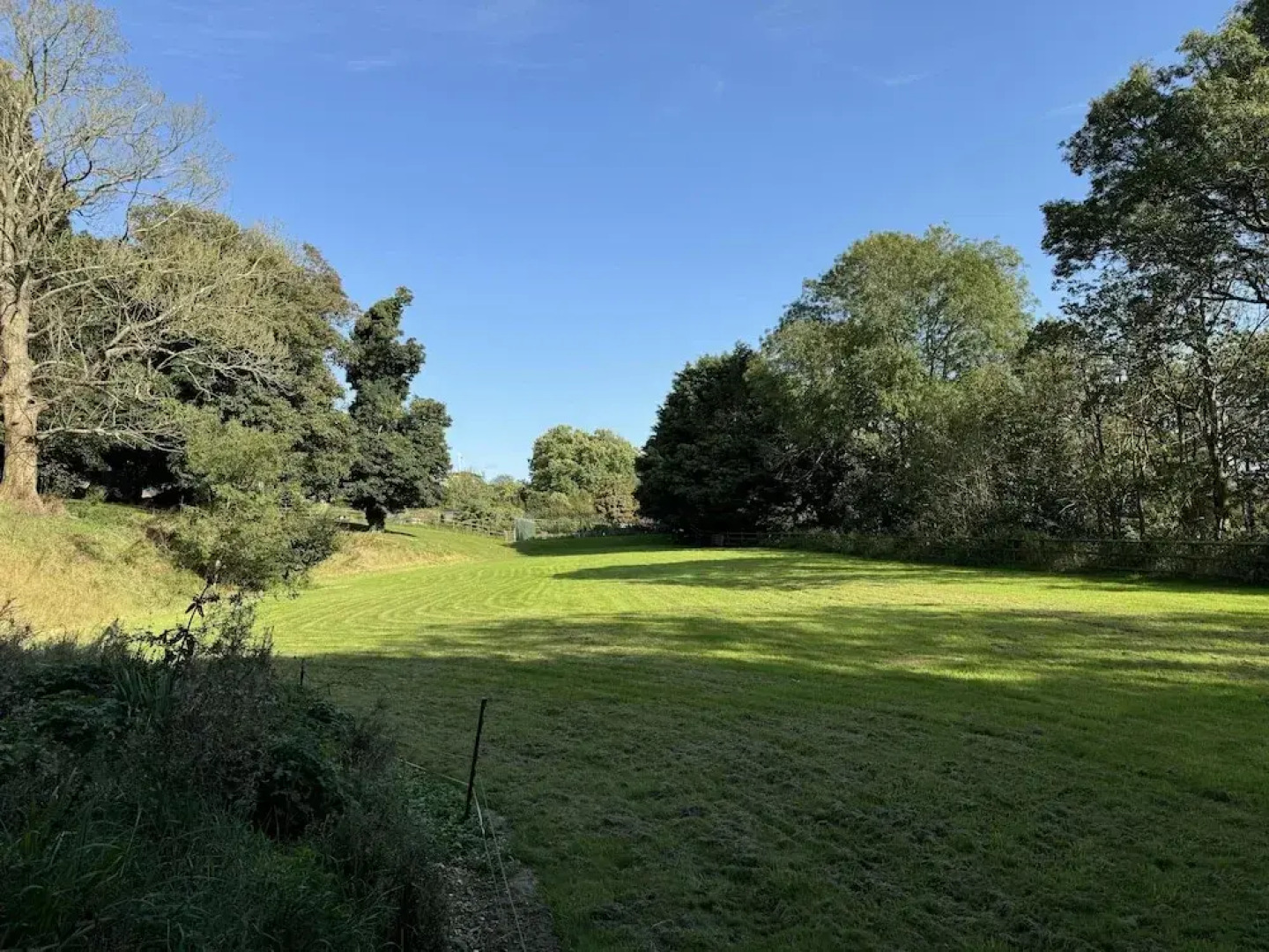 Lodge/ Kingbed/ Privg/ Petsok/ Freep/ Wifi