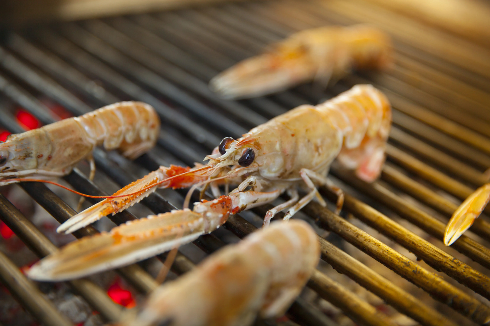 Hotel Villa Kapetanovic